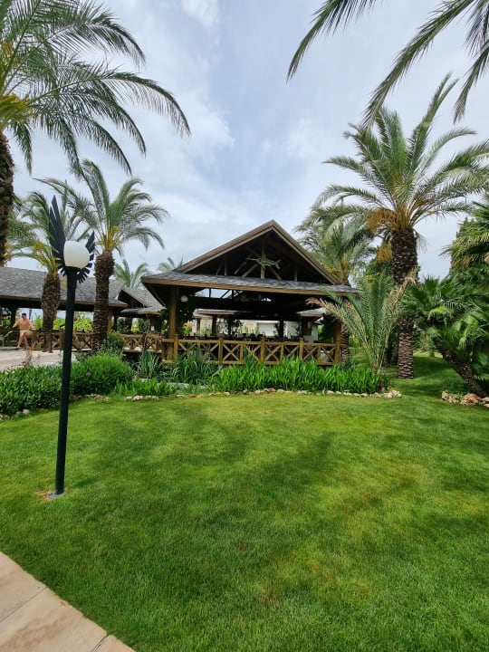 Gastro Royal Wings Hotel