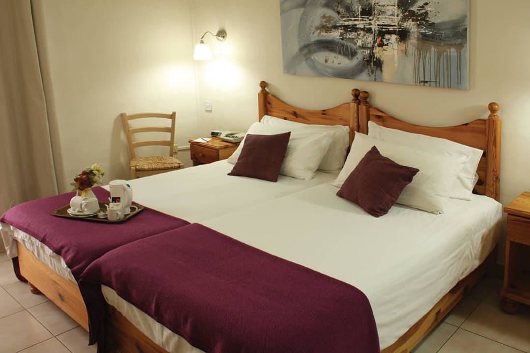 Twin/double room Hotel Plevna