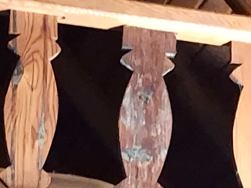 Zimmer Clover Magic Nova Beach