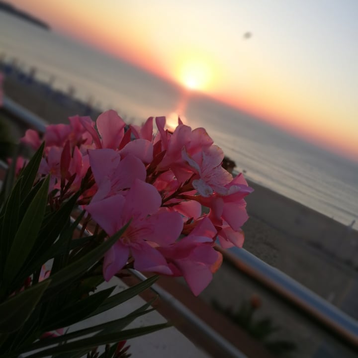 Ausblick Sol Luna Bay