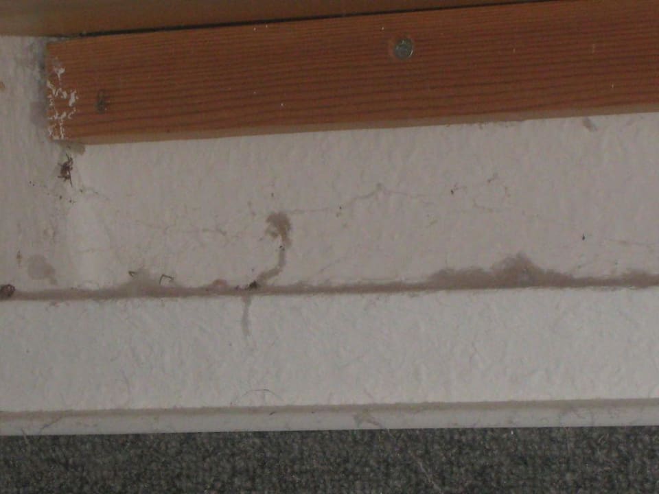 Spinnen inclusive! Lindner Hotel Sylt