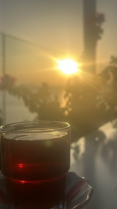 Gastro Bodrum Holiday Resort & Spa