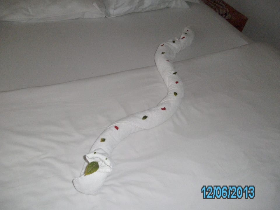 Handtuch-Schlange Ghazala Beach