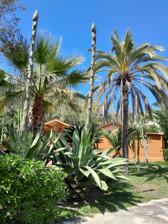 Gartenanlage Hotel Soller Garden
