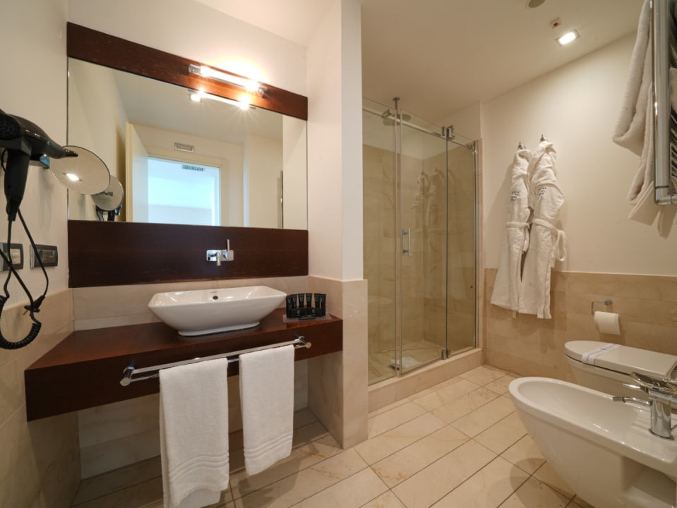 Zimmer Pisa Tower Plaza