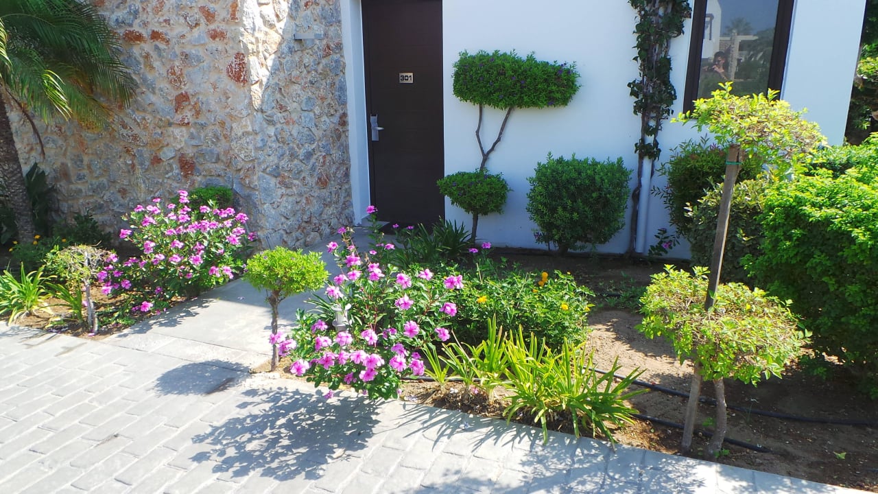 Sehr gepflegt alles TUI BLUE Palazzo del Mare