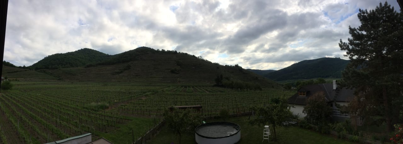 Ausblick Gästehaus Weinbergblick