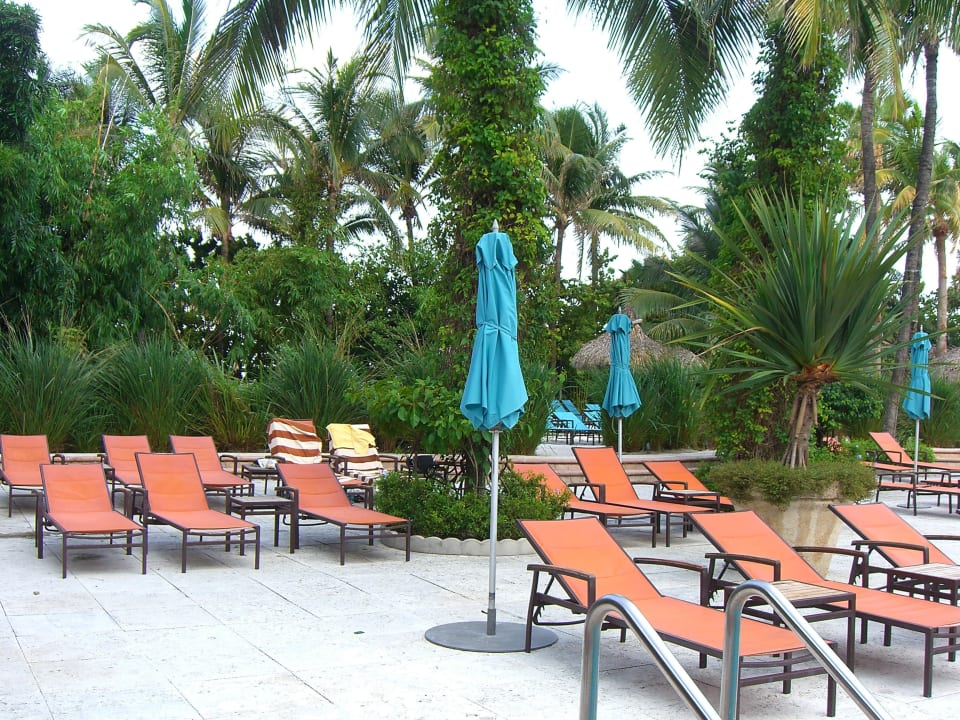 Poolbereich The Palms Hotel & Spa