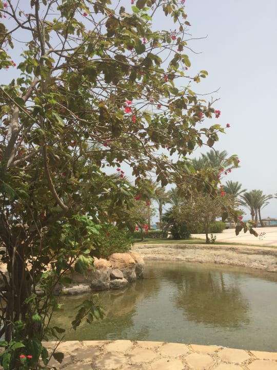 Garten Palm Royale Resort - Soma Bay