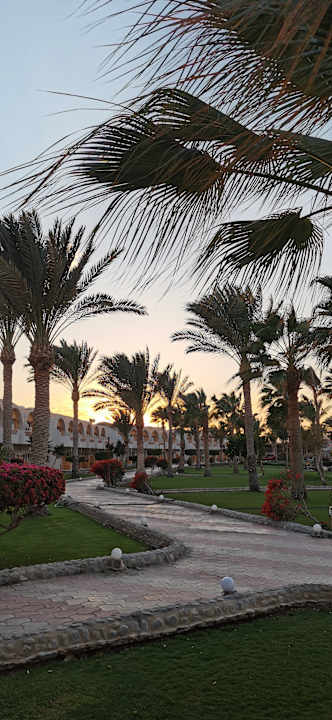 Gartenanlage Three Corners Sea Beach Resort