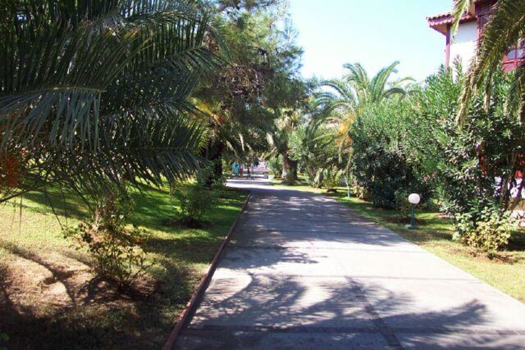 Der Weg zum Meer ... Ali Bey Club