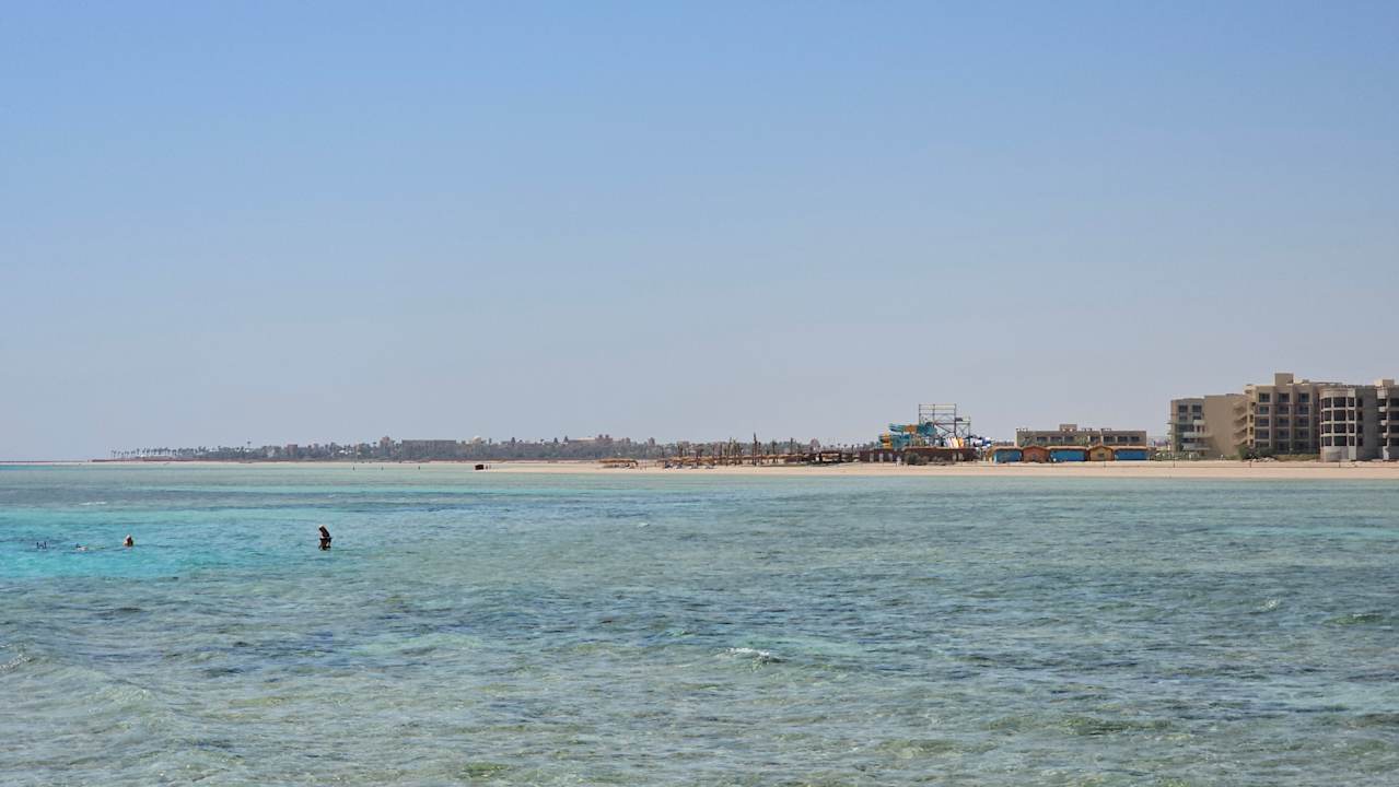 Strand JAZ Elite Asteria