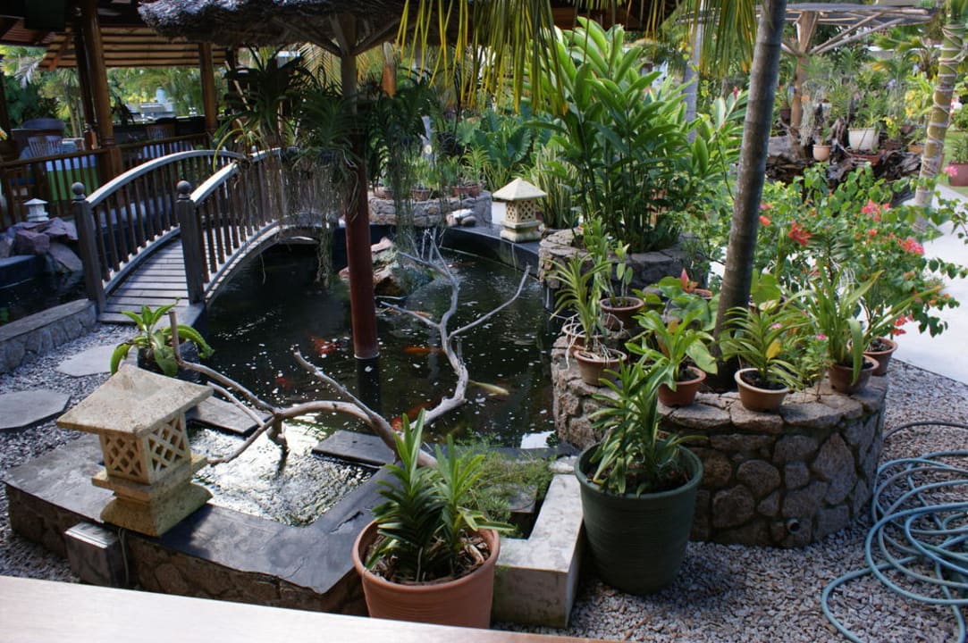 Herrlicher Garten Hotel Le Duc de Praslin