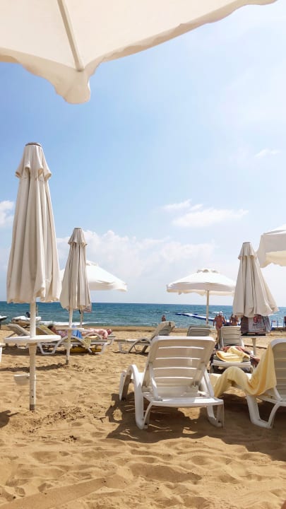 Strand Arum Barut Collection