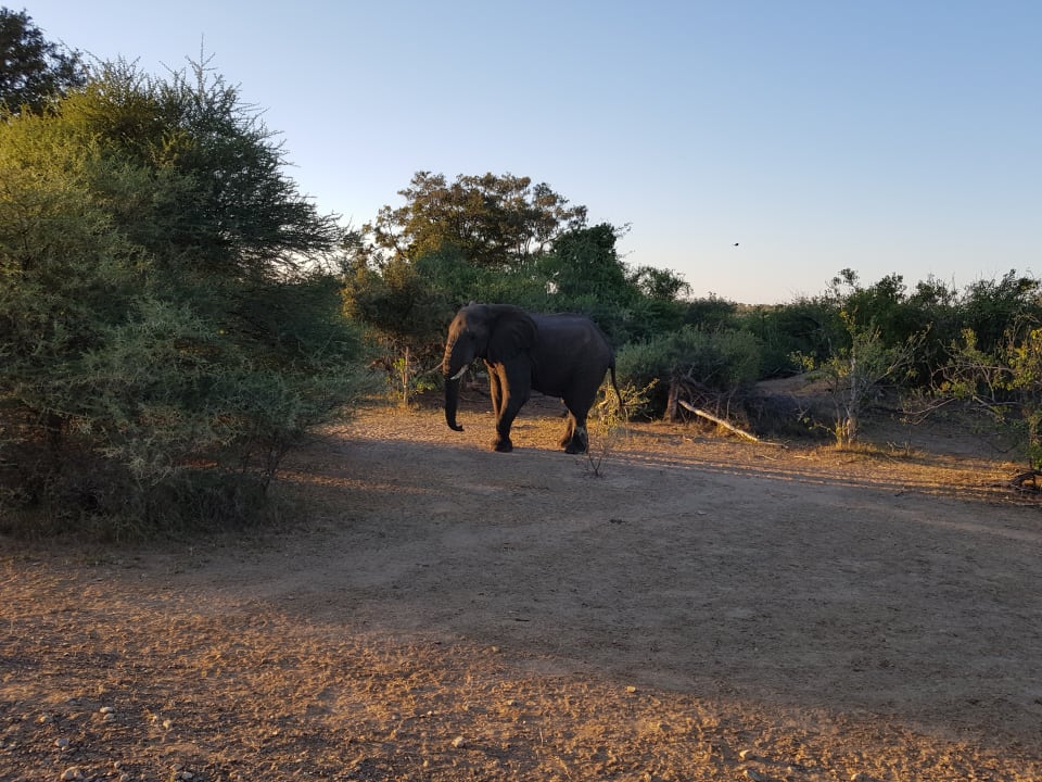 Sport & Freizeit Hotel Ndhovu Safari Lodge