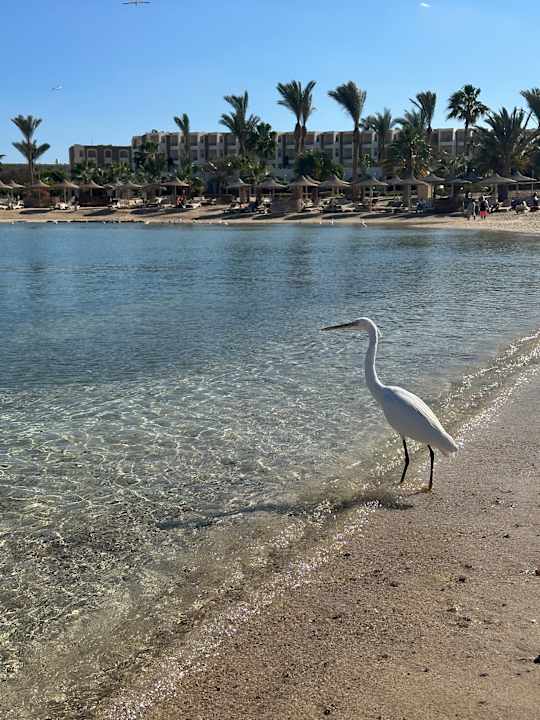 Strand Brayka Bay Resort