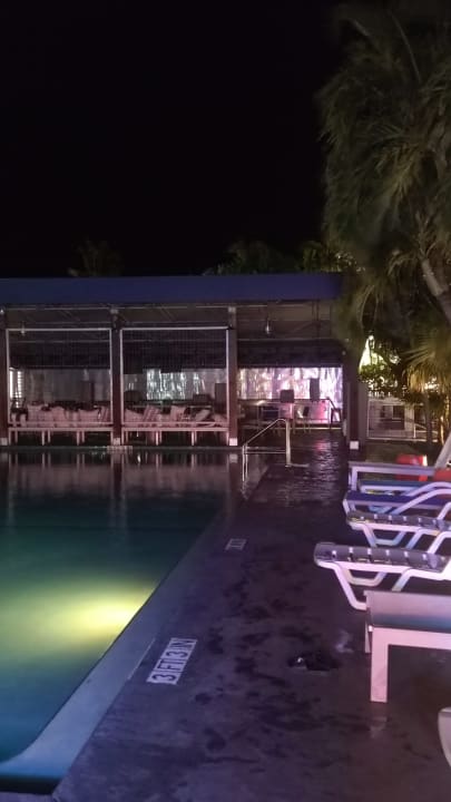 Pool Motel Blue Marlin