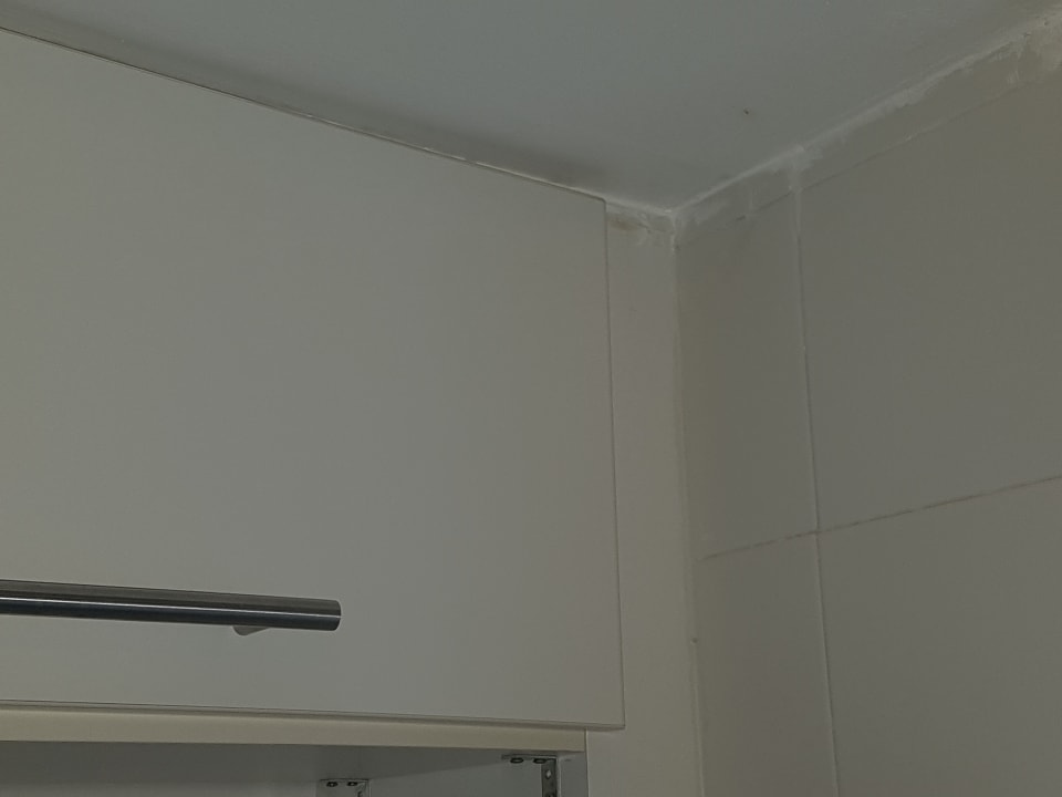 Zimmer Los Olivos Beach Resort