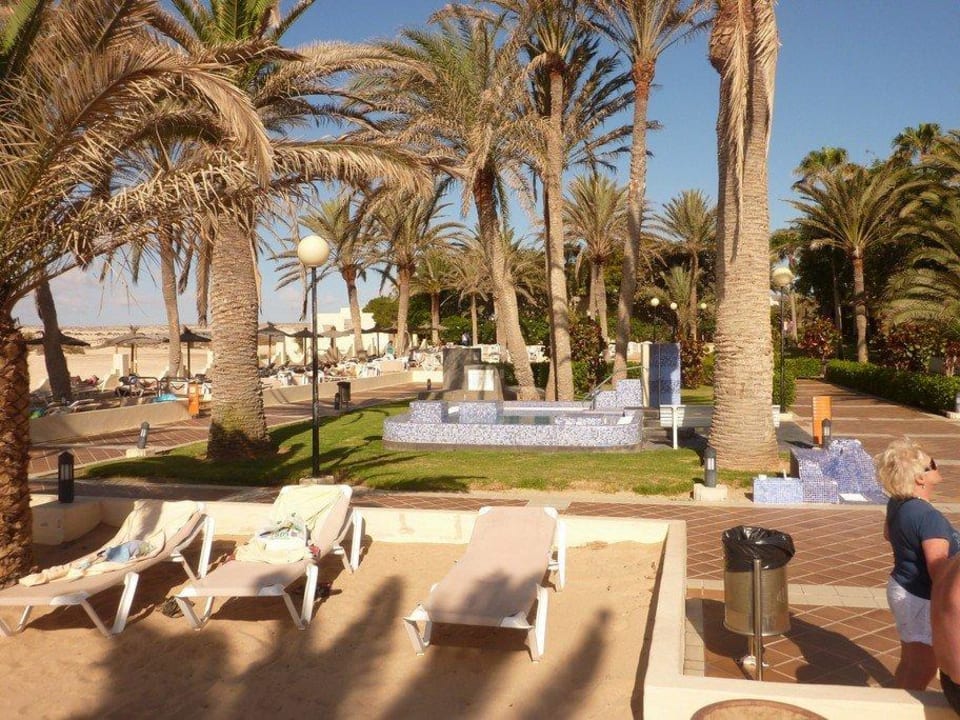 Hotelanlage und Resort Hotel Riu Oliva Beach - Hotel