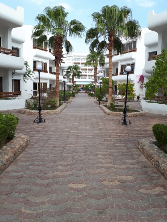 Gartenanlage Marlin Inn Azur Resort