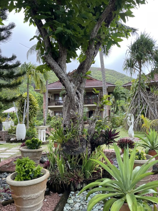 Gartenanlage Hotel Le Duc de Praslin