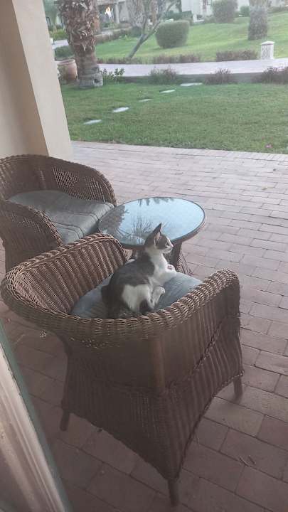 Außenansicht Lotus Bay Beach Resort