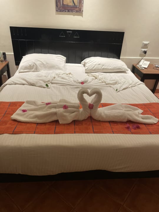 Zimmer Three Corners Sea Beach Resort