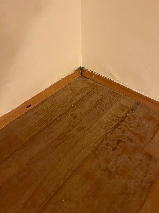 Sonstiges Falkensteiner Hotel Adriana