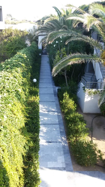 Výhled z balkonu Hotel Eva Bay