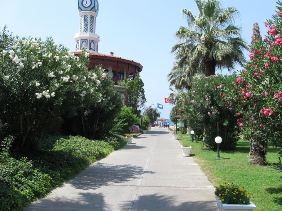 Einer der Wege zum Strand von der Clubseite Ali Bey Club