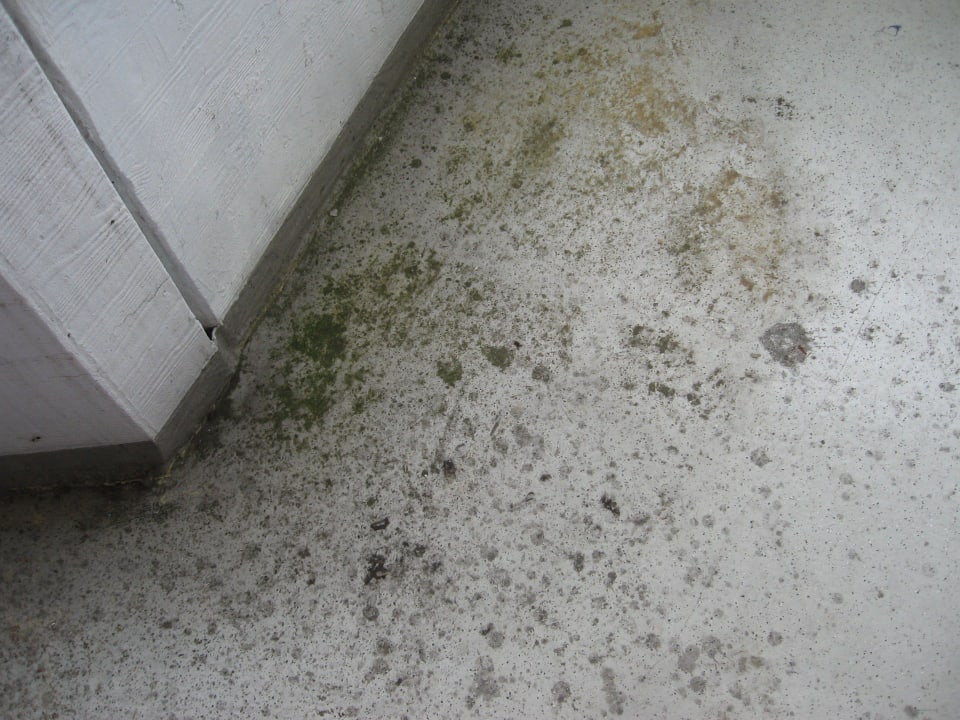 Balkonboden Panoramic - Ihr Apartmenthotel im Harz