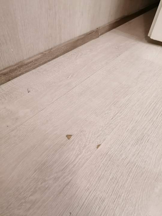 Zimmer Hotel Müller