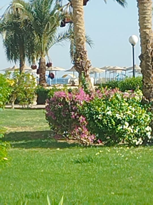 Ausblick Hurghada Long Beach Resort