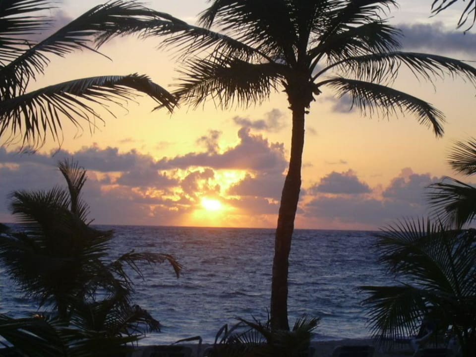 Sonnenaufgang Hotel Riu Bambu