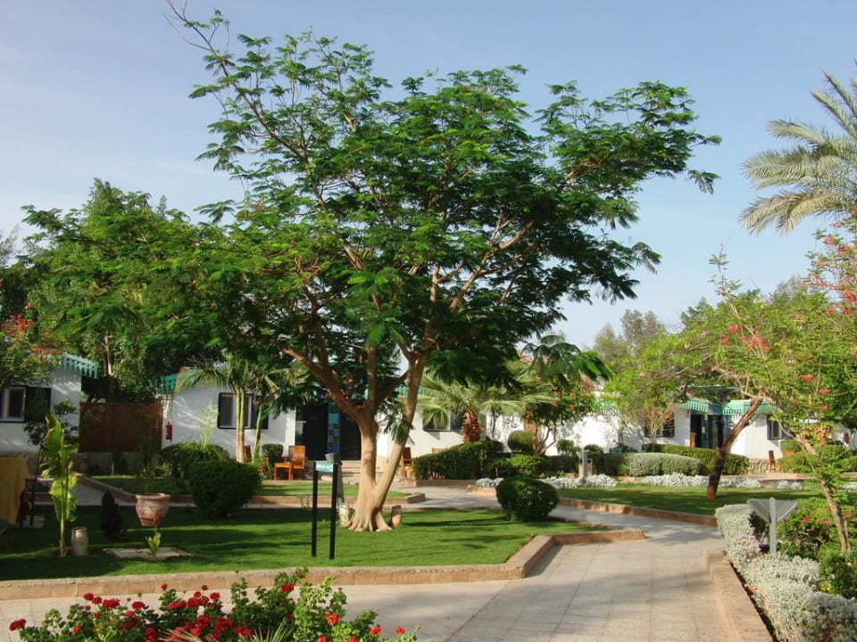 Der Weg zu unserem Zimmer Ghazala Beach