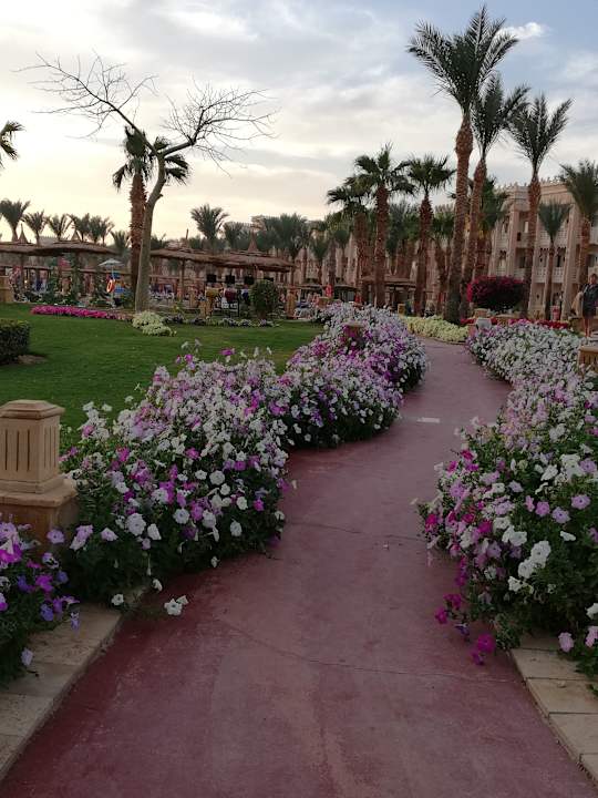 Weg vom Strand Pickalbatros Palace Resort