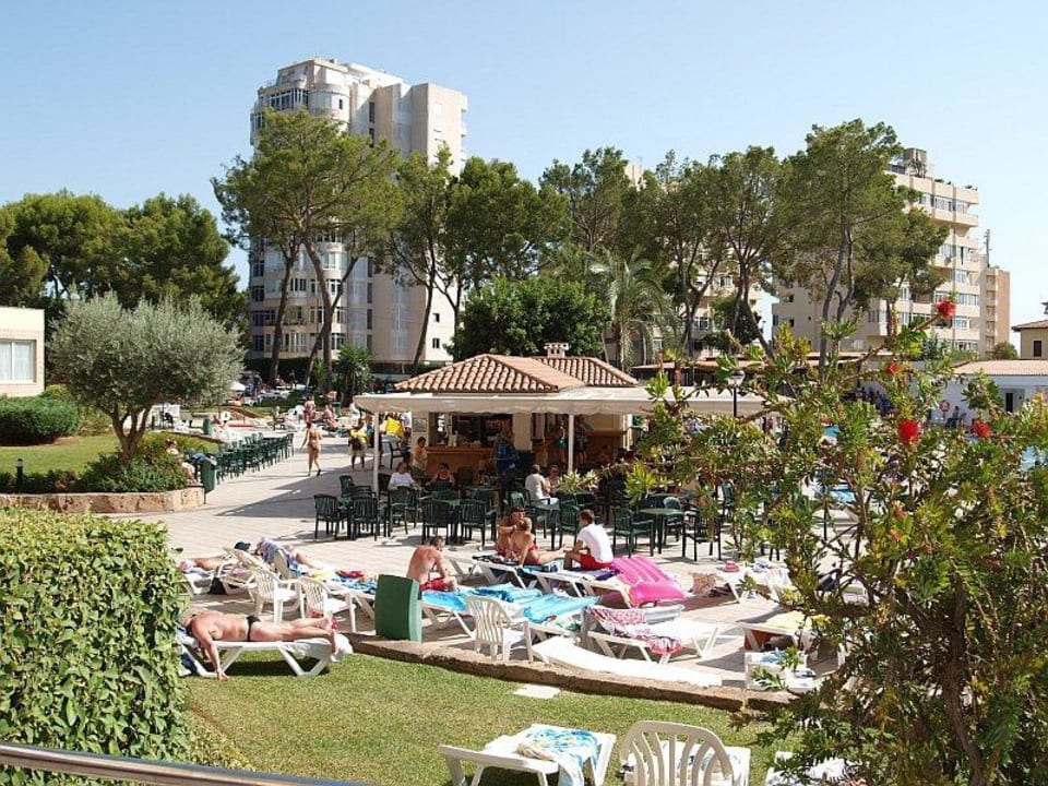 Am Pool BQ Belvedere Hotel
