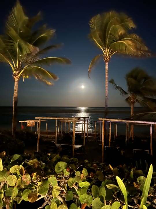 Strand Akumal Bay Beach & Wellness Resort