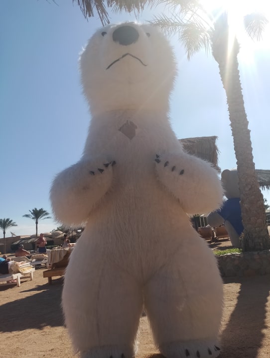 Sonstiges Regina Resort and Aqua Park Hurghada