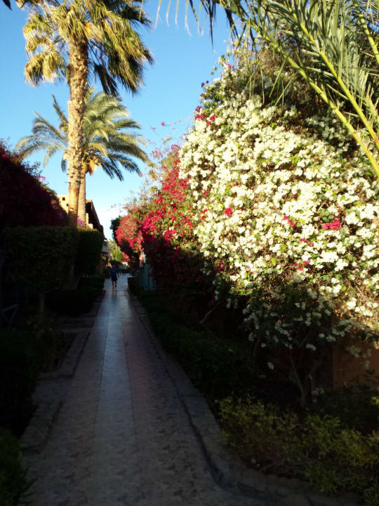 Anlage Giftun Azur Resort