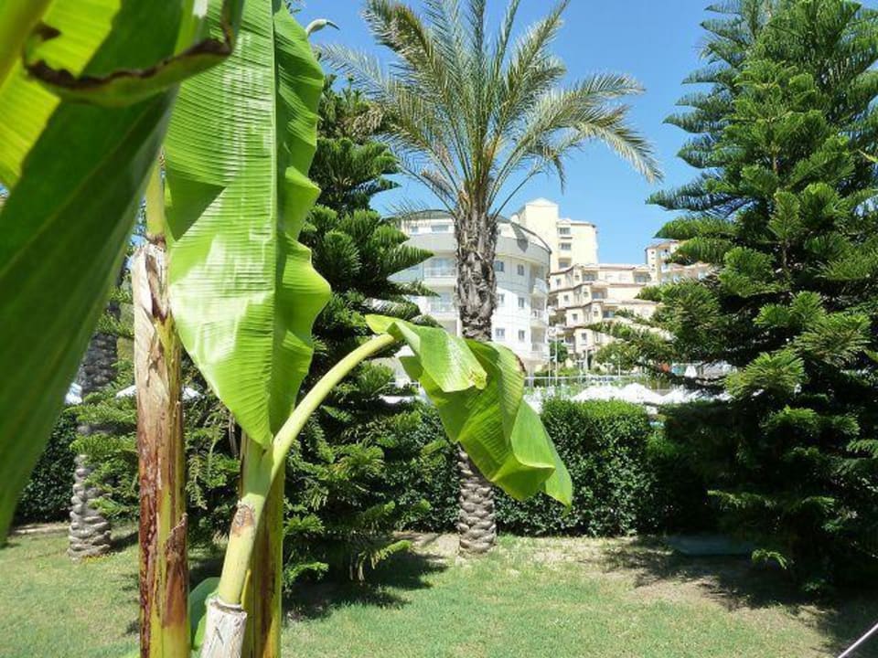 Gartenanlage Side Sun Hotel