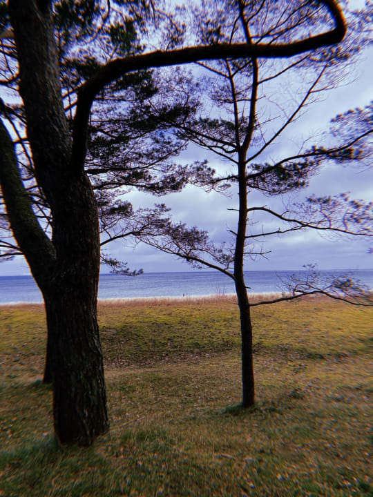 Strand Cliff Hotel Rügen