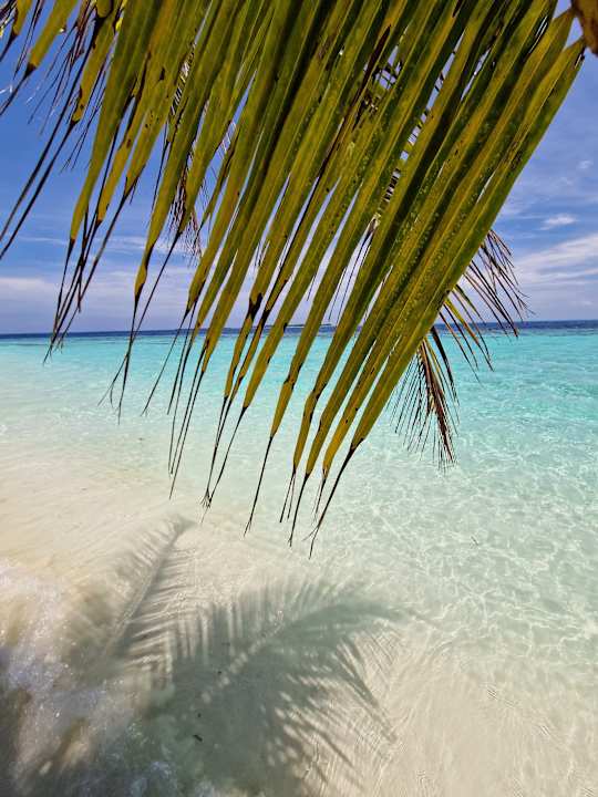 Strand Vilamendhoo Island Resort & Spa