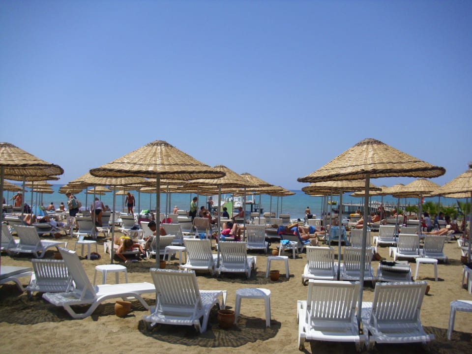 Hoteleigener Strand Dizalya Palm Garden