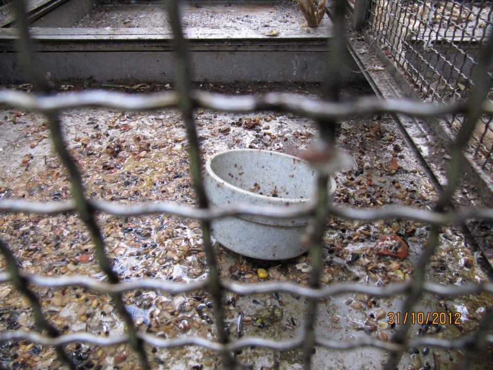 Dreckiger Kakadukäfig Hacienda San Jorge