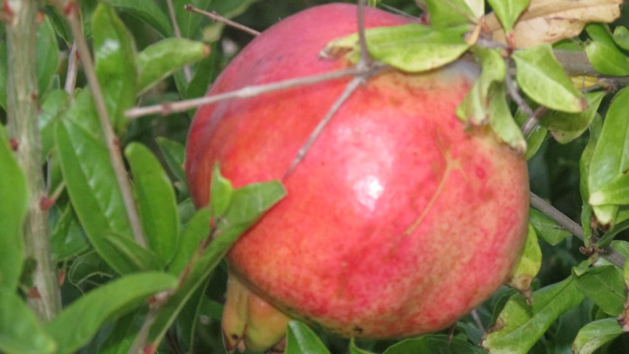 Sonstiges Xenios Anastasia Resort & spa