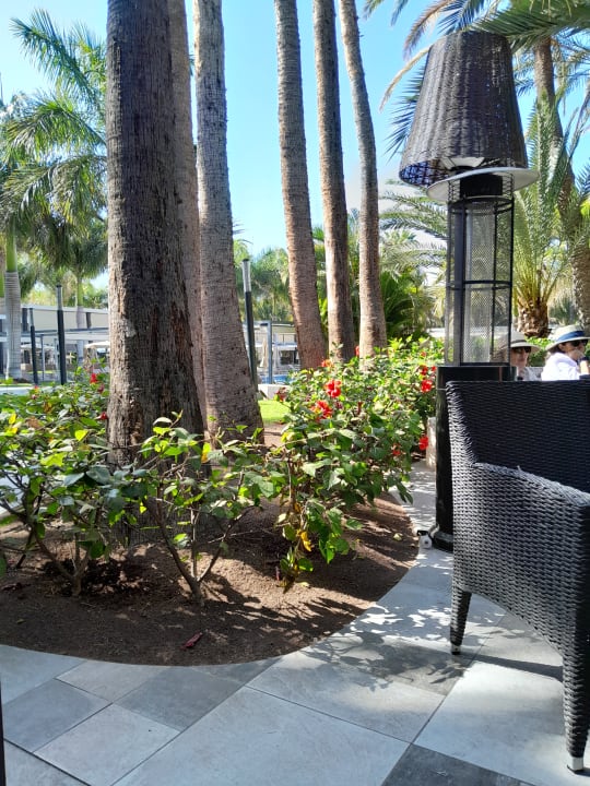 Gastro Hotel Riu Palace Oasis