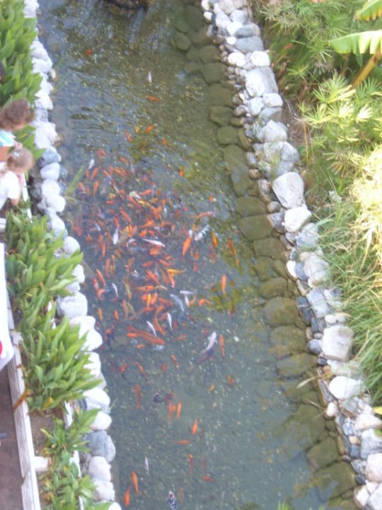 Hauptrestaurant Enderun Ela Excellence Resort Belek