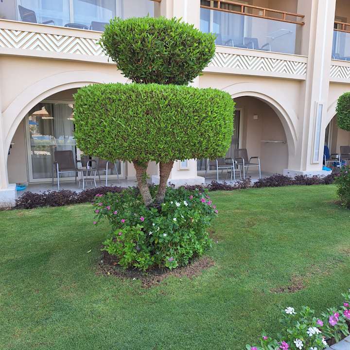 Gartenanlage Pickalbatros White Beach Resort - Hurghada
