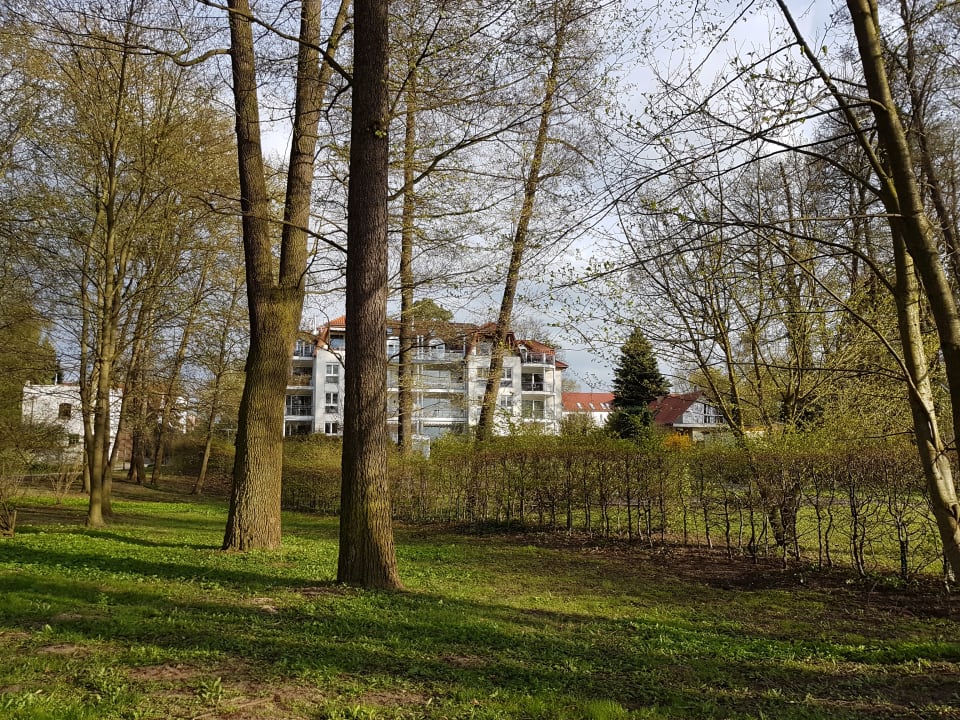 Zimmer Victoria Suites